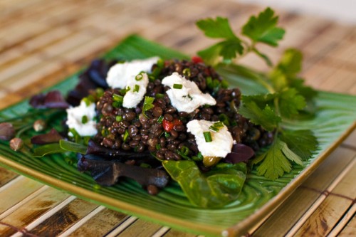 Beluga-Lentil-Salad-II-500x333