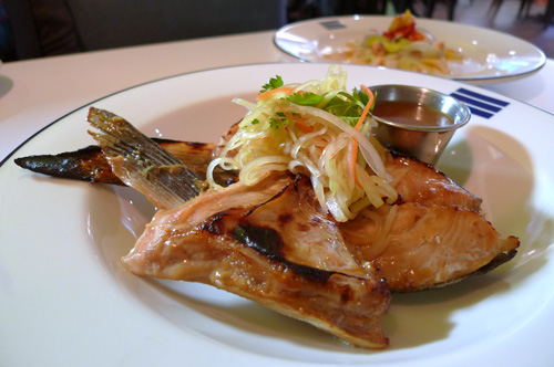 blueacre_salmon_collars