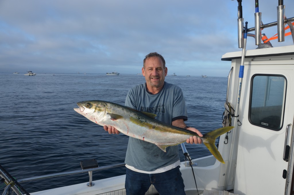 Adam_Zetter_Yellowtail